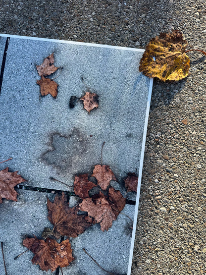 FineArt Print "WHAT REMAINS"