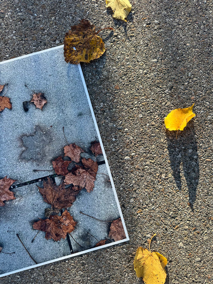 FineArt Print "WHAT REMAINS"