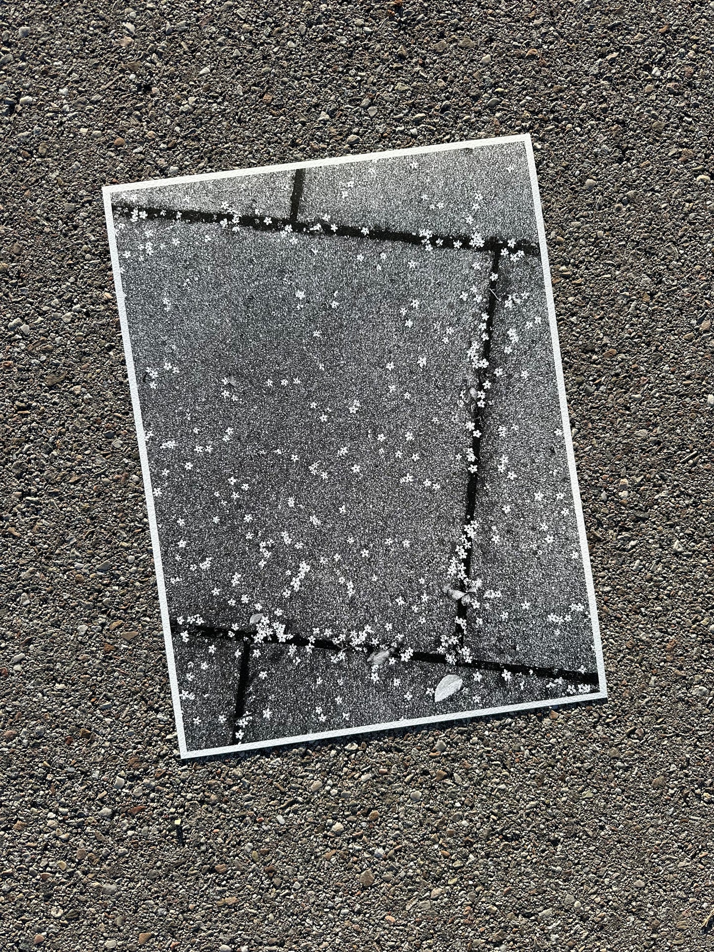 FineArt Print "TINY WONDERS"