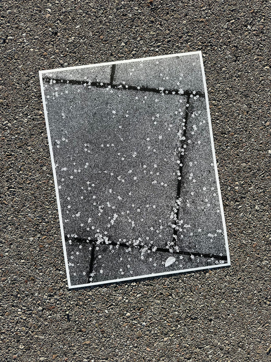 FineArt Print "TINY WONDERS"