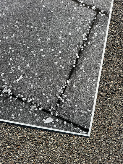 FineArt Print "TINY WONDERS"