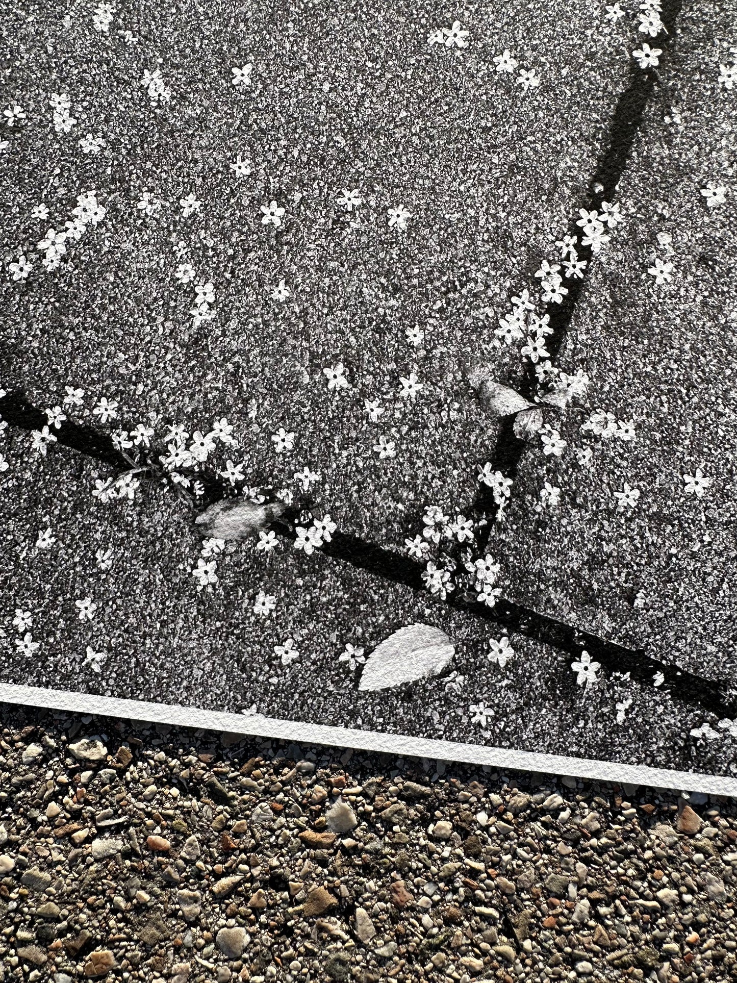 FineArt Print "TINY WONDERS"