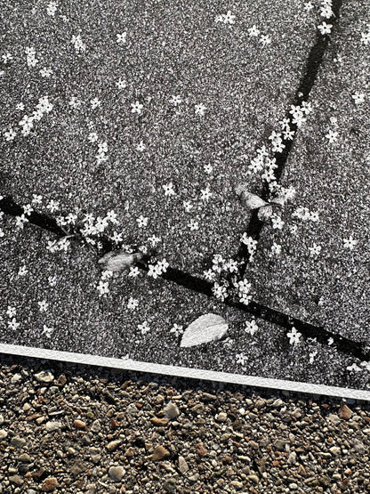 FineArt Print "TINY WONDERS"