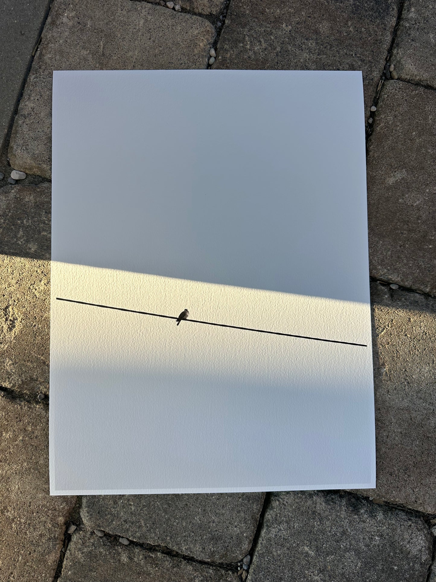 FineArt Print "ALONELINESS"