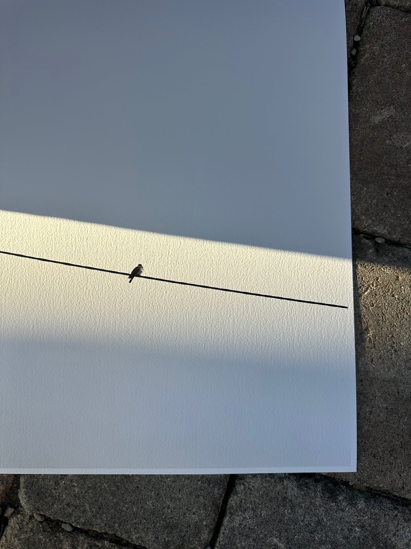 FineArt Print "ALONELINESS"