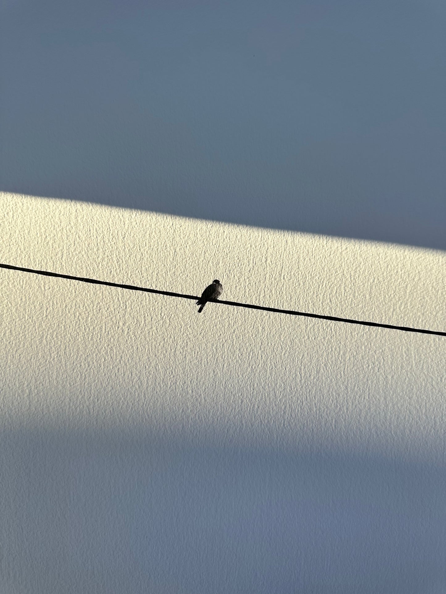 FineArt Print "ALONELINESS"