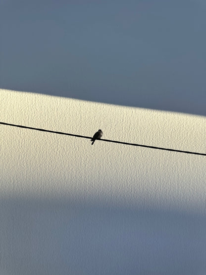 FineArt Print "ALONELINESS"