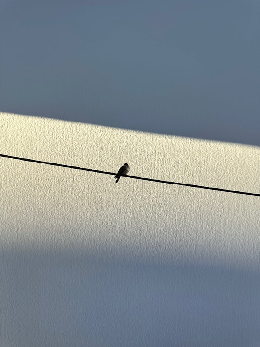 FineArt Print "ALONELINESS"