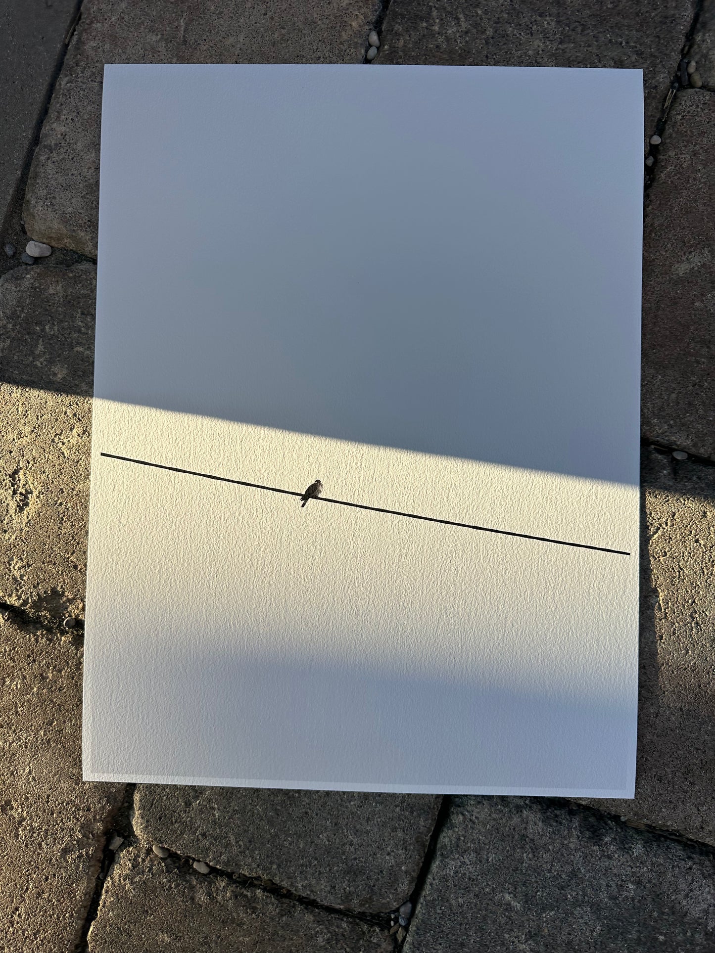 FineArt Print "ALONELINESS"