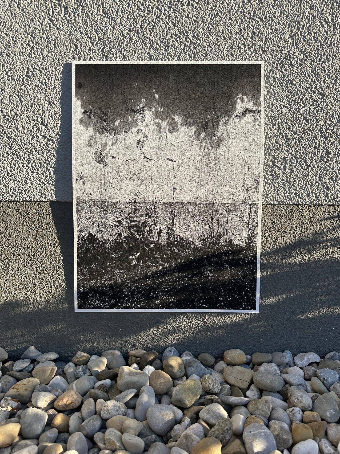 FineArt Print "WONDER_WALL"