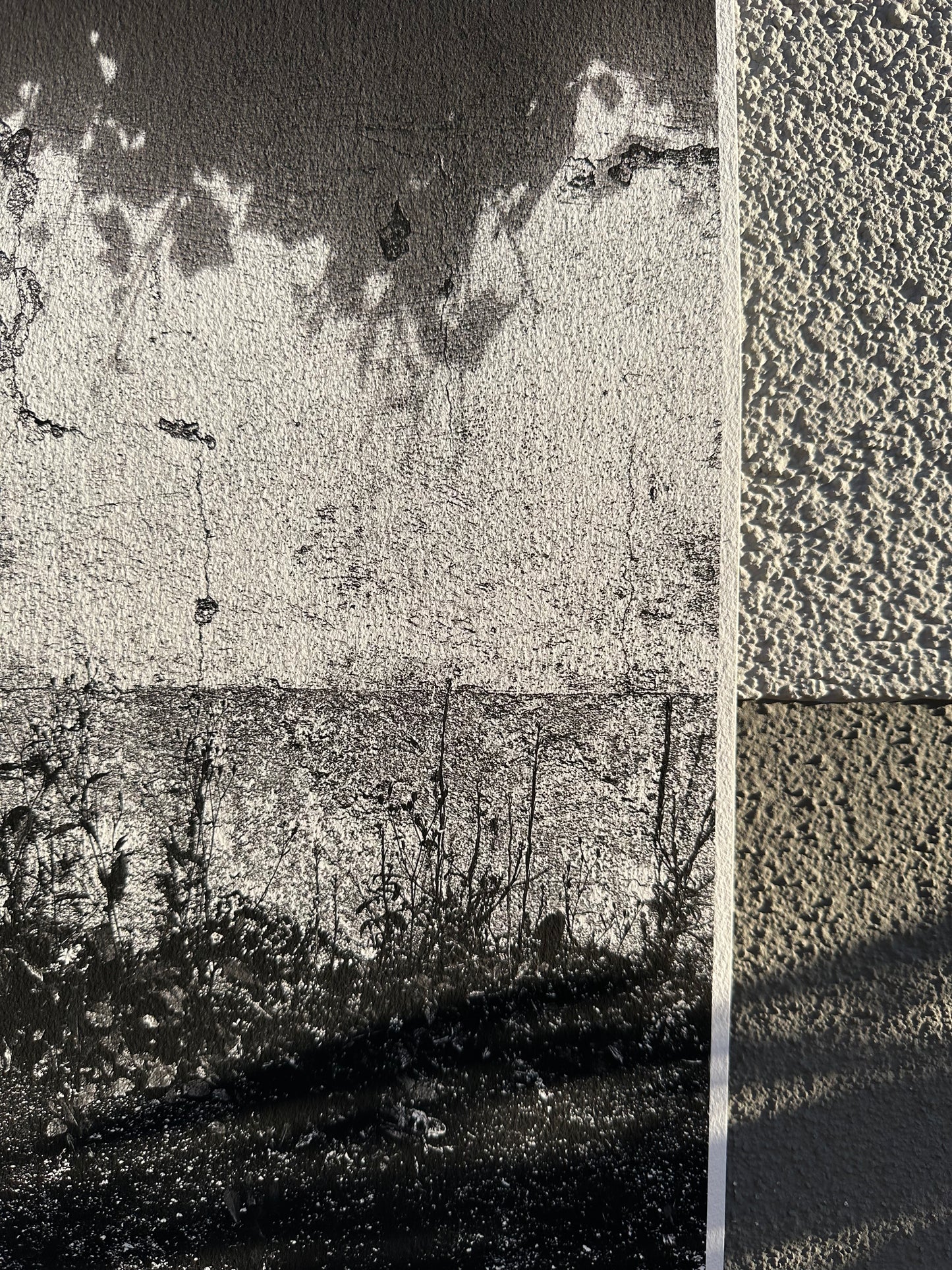 FineArt Print "WONDER_WALL"