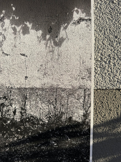 FineArt Print "WONDER_WALL"