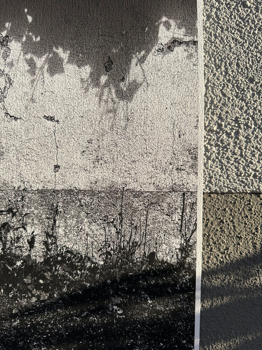 FineArt Print "WONDER_WALL"