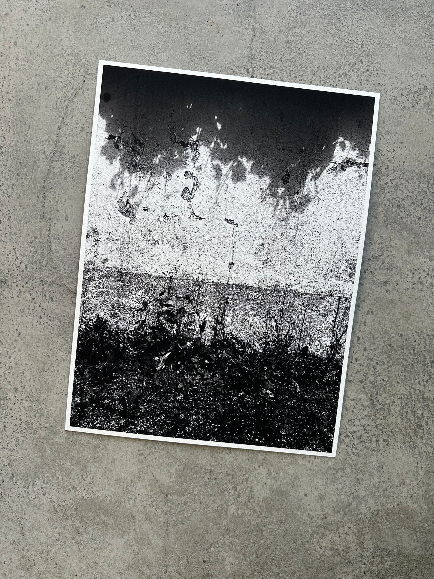 FineArt Print "WONDER_WALL"