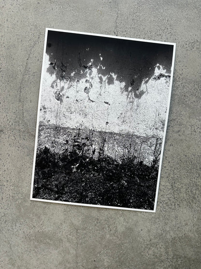 FineArt Print "WONDER_WALL"