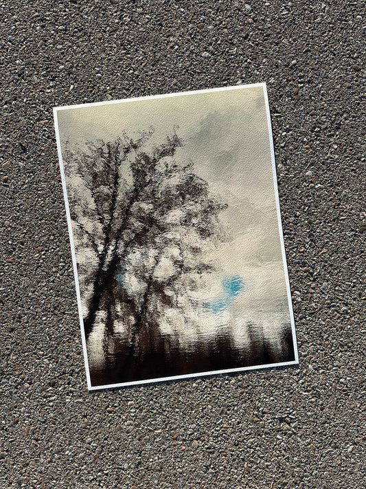 FineArt Print "REFLECTIONS"