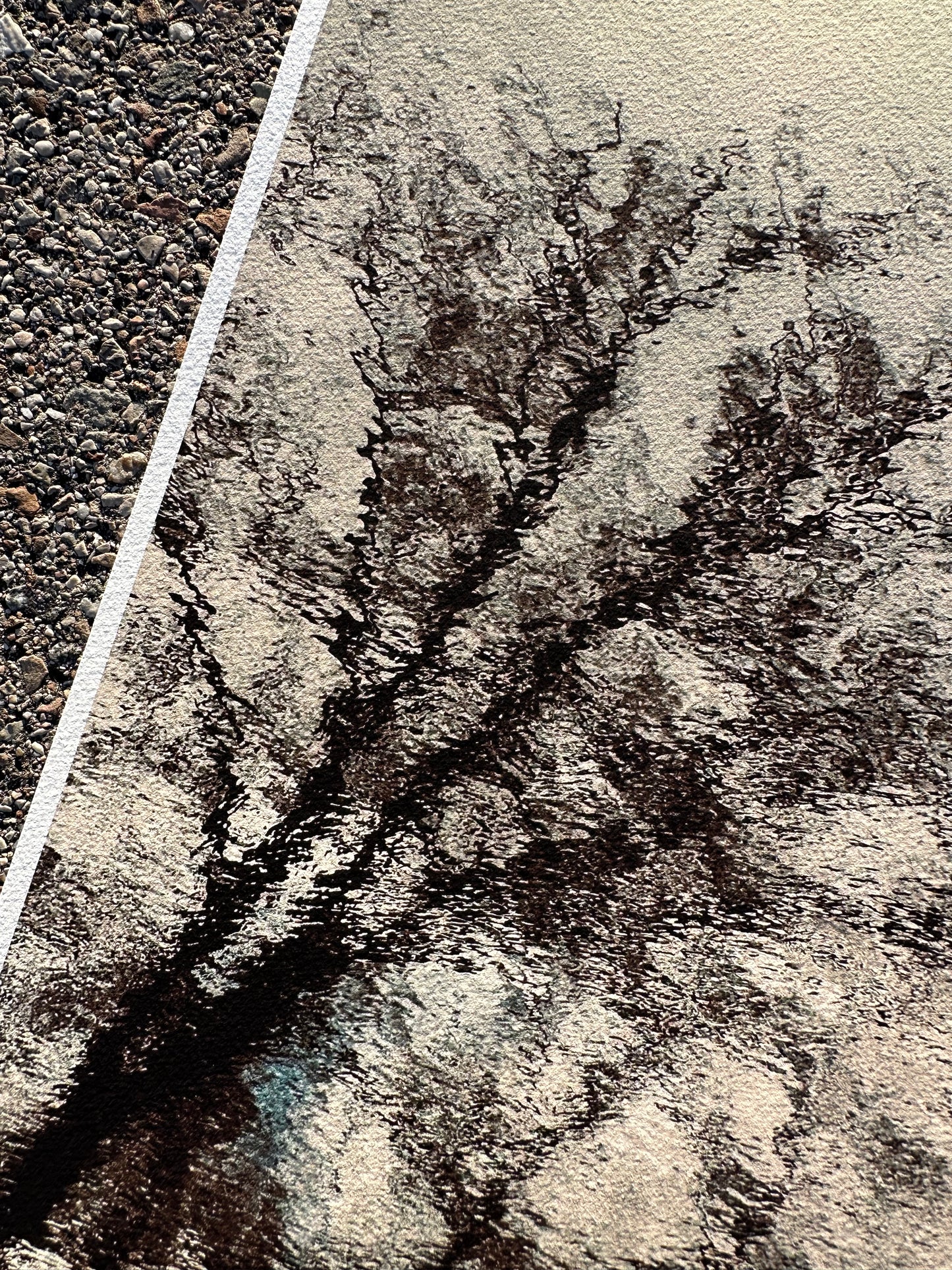 FineArt Print "REFLECTIONS"