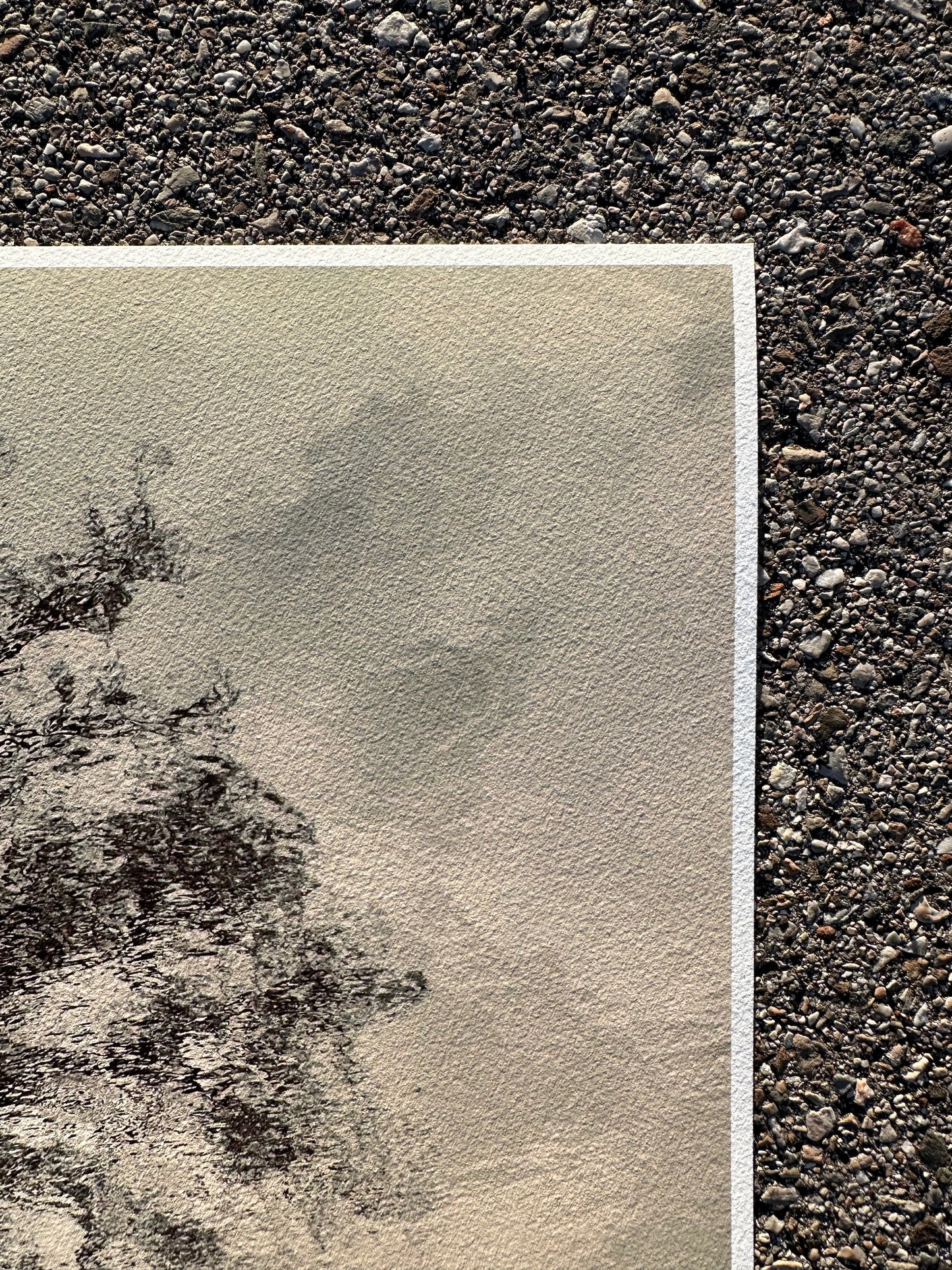 FineArt Print "REFLECTIONS"