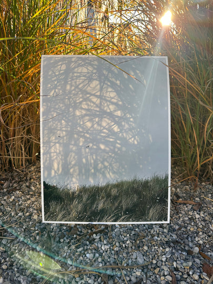 FineArt Print "DUNE"