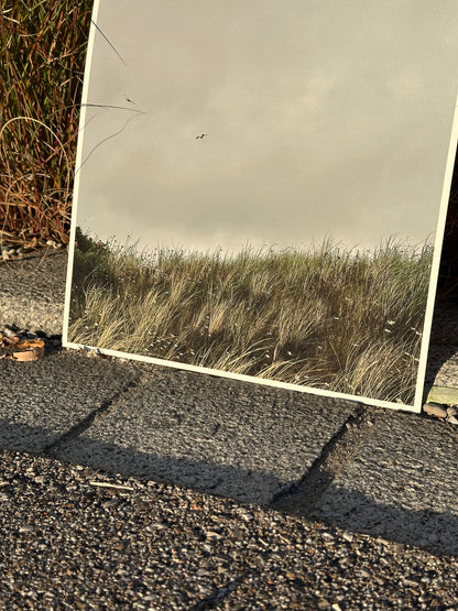 FineArt Print "DUNE"