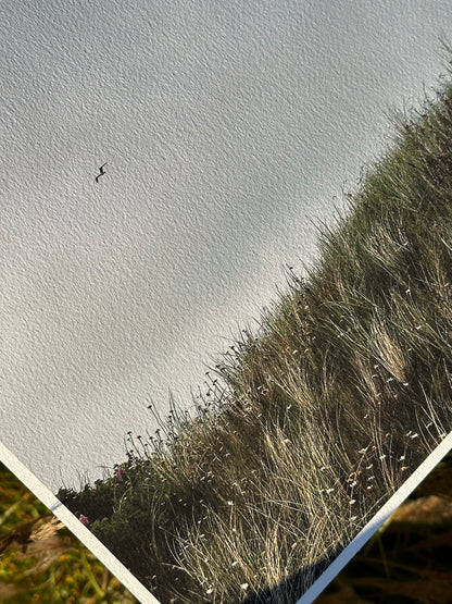 FineArt Print "DUNE"