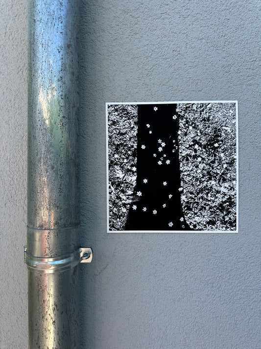FineArt Print "FALLEN STARS"