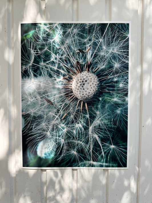 FineArt Print "WISH"