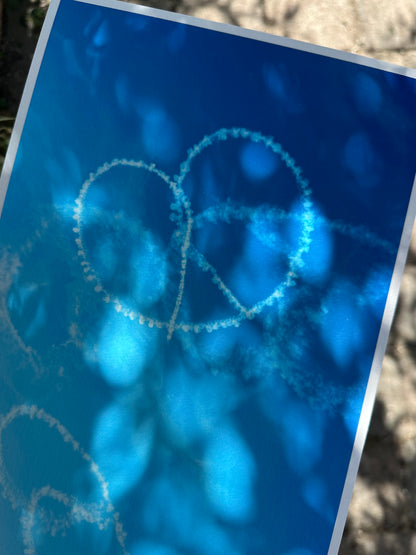 FineArt Print "FLYING PRETZEL"