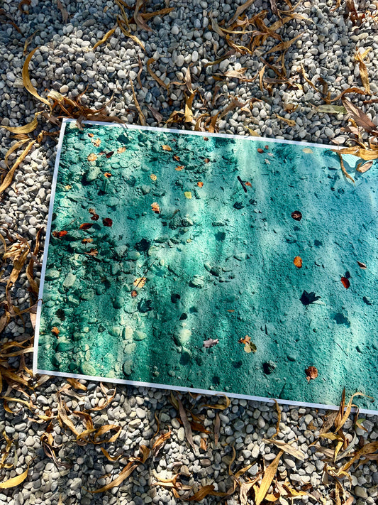 FineArt Print "LAKE BED"