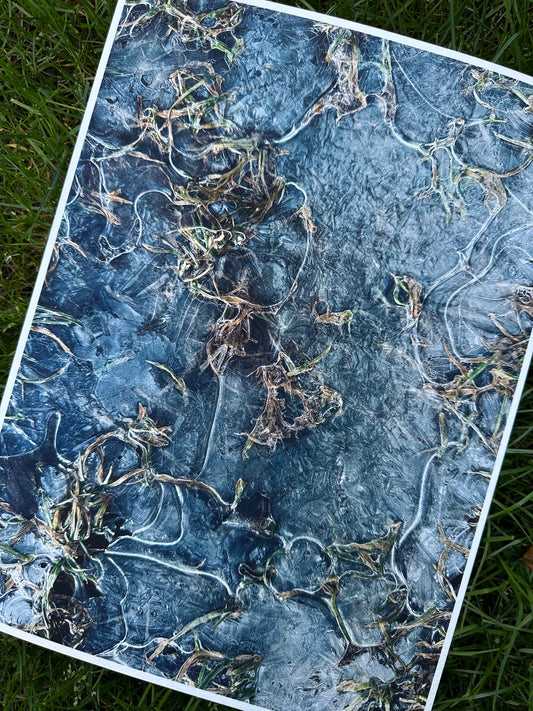 FineArt Print "EISGRAS"