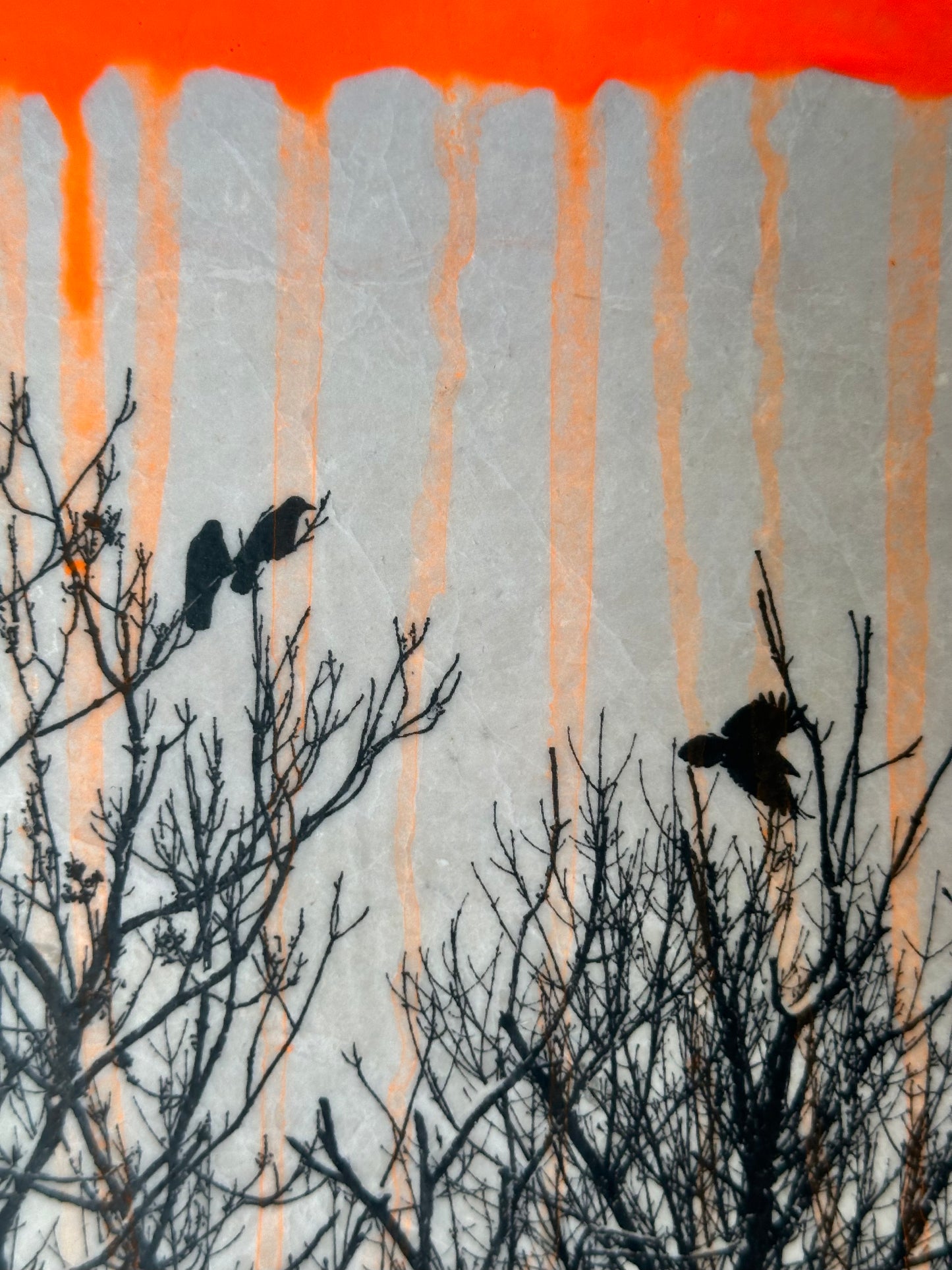 MixedMedia Kunstwerk "COLORED CROWS"